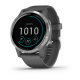 Garmin vivoactive 4 Shadow Grey/Stainless