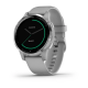 Garmin vivoactive 4S Powder Grey/Silver