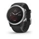 Garmin Fenix 6S Silver w/Black band