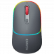 CANYON mouse MW-22 2in1 BT/ Wireless Dark Grey CNS-CMSW22DG
