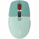 CANYON mouse MW-26 LCD Silent Dual Mode Wireless Green CNS-CMSW26GR